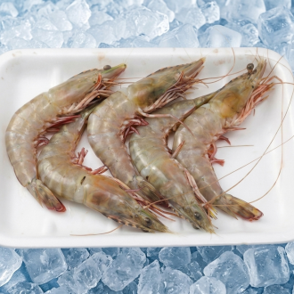 Big Sea shrimp U10  500g