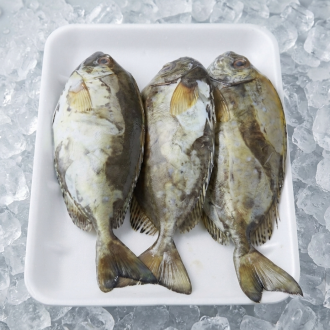 Safi. 1kg