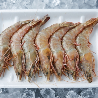 Sea shrimp U15 1kg