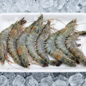 Sea shrimp U15- 500g