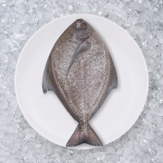 Black pomfret  500 grams
