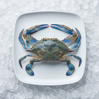 Blue crab 500g