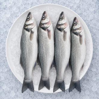 Fresh Turkish Sea Bass – 1kg (2 Pieces)