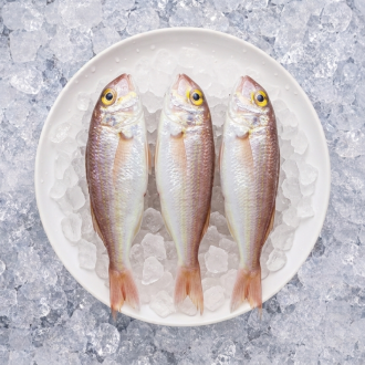 Fresh Sultan Ibrahim (Sultan Fish) – 500g