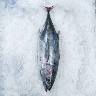 Gubab 1.5 kg