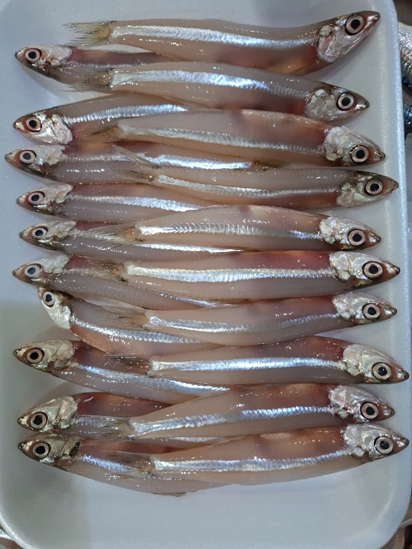 Nattholy Fish Anchovies (natholi) 500 gram – Fresh Fish Hub
