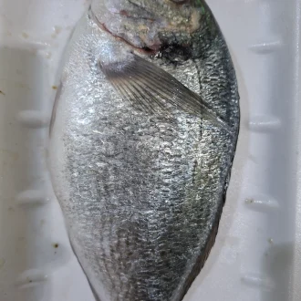 Seabream - 500g