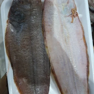 Sole fish 500g