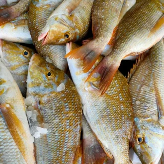 Sherry 1 kg